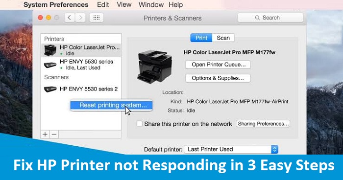 Fix HP Printer not Responding in 3 Easy Steps - Printer Support